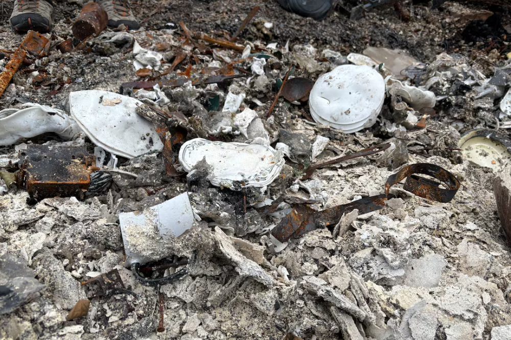 Image for the Chance Harbour wildfire destruction TV story